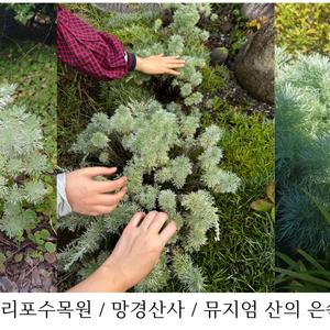 1박 2일 여행기_ 몸이 되는 여행 